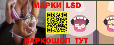 apvp Свободный