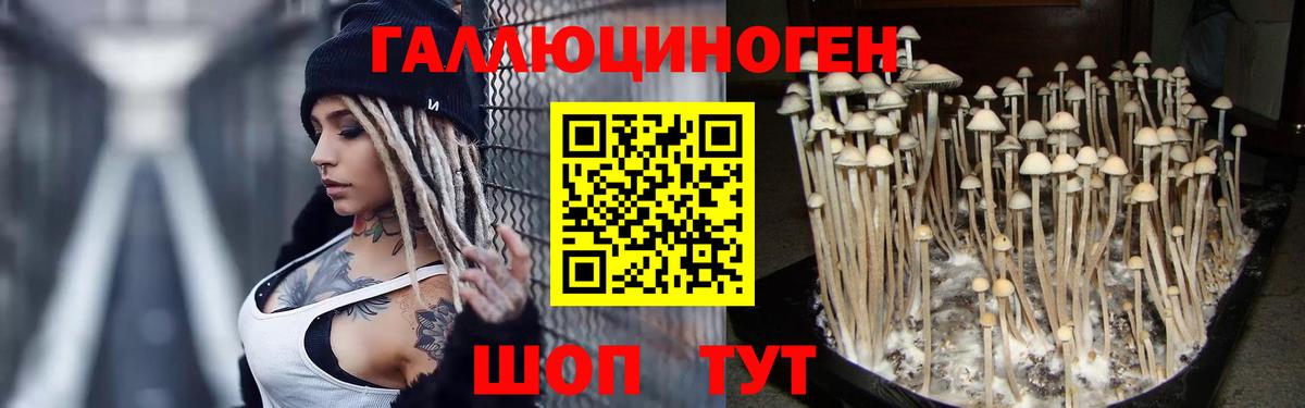 что такое наркотик  Вход с VPN  Ангарск  Псилоцибиновые грибы Psilocybine cubensis 